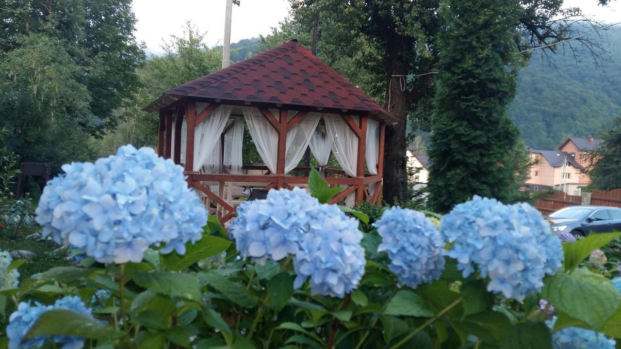 Karpatska Mria *